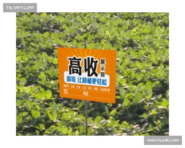 轻松掌控城堡争霸全攻略:布局策略与战术核心解析 轻松掌控城堡争霸全攻略:布局策略与战术核心解析